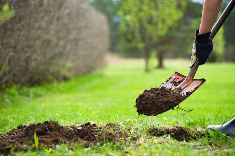 First Rule of Hole Management – Stop Digging | Mariner Wealth Advisors